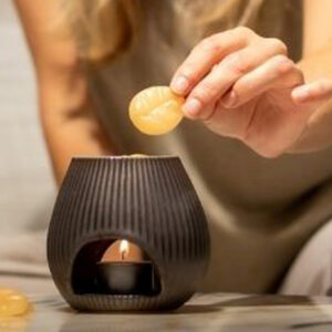 Scentchips - Waxbrander Brons - Zilver - Goud - Wax Melts Brander - Geurbrander